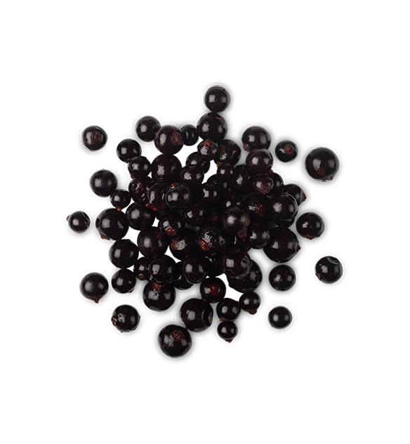 Blackcurrant
