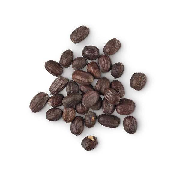 Jojoba